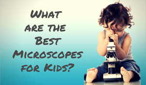 Best microscopes for kids