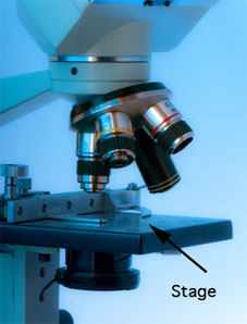 Microscope mechanical stage