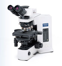 The Olympus BX51 Microscope