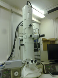 transmission electron microscope