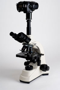 Microscope camera mounted on a microscope