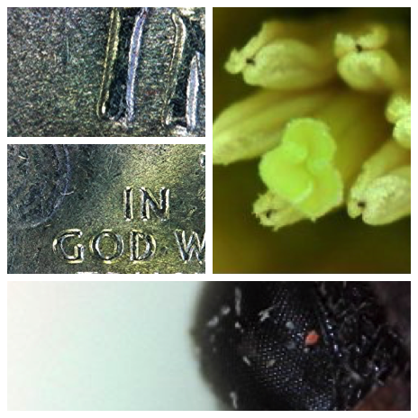 magnified images taken with the plugable 2.0 USB digital microscope